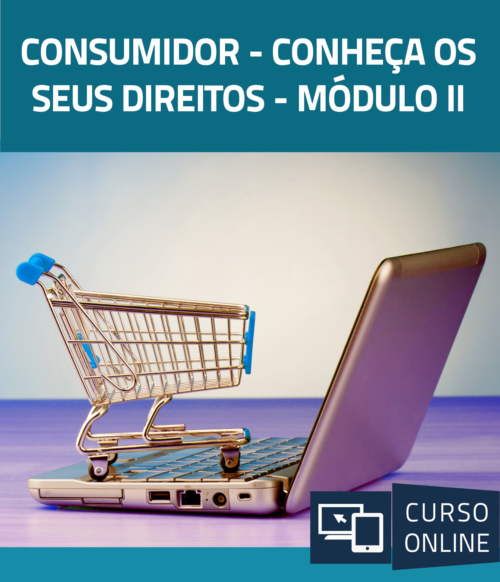 Consumidor  -  Conheça os seus Direitos - Módulo II