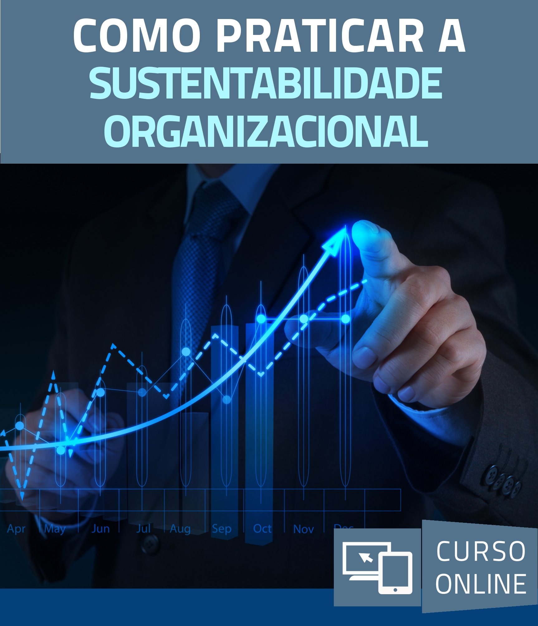 Como Praticar a Sustentabilidade Organizacional