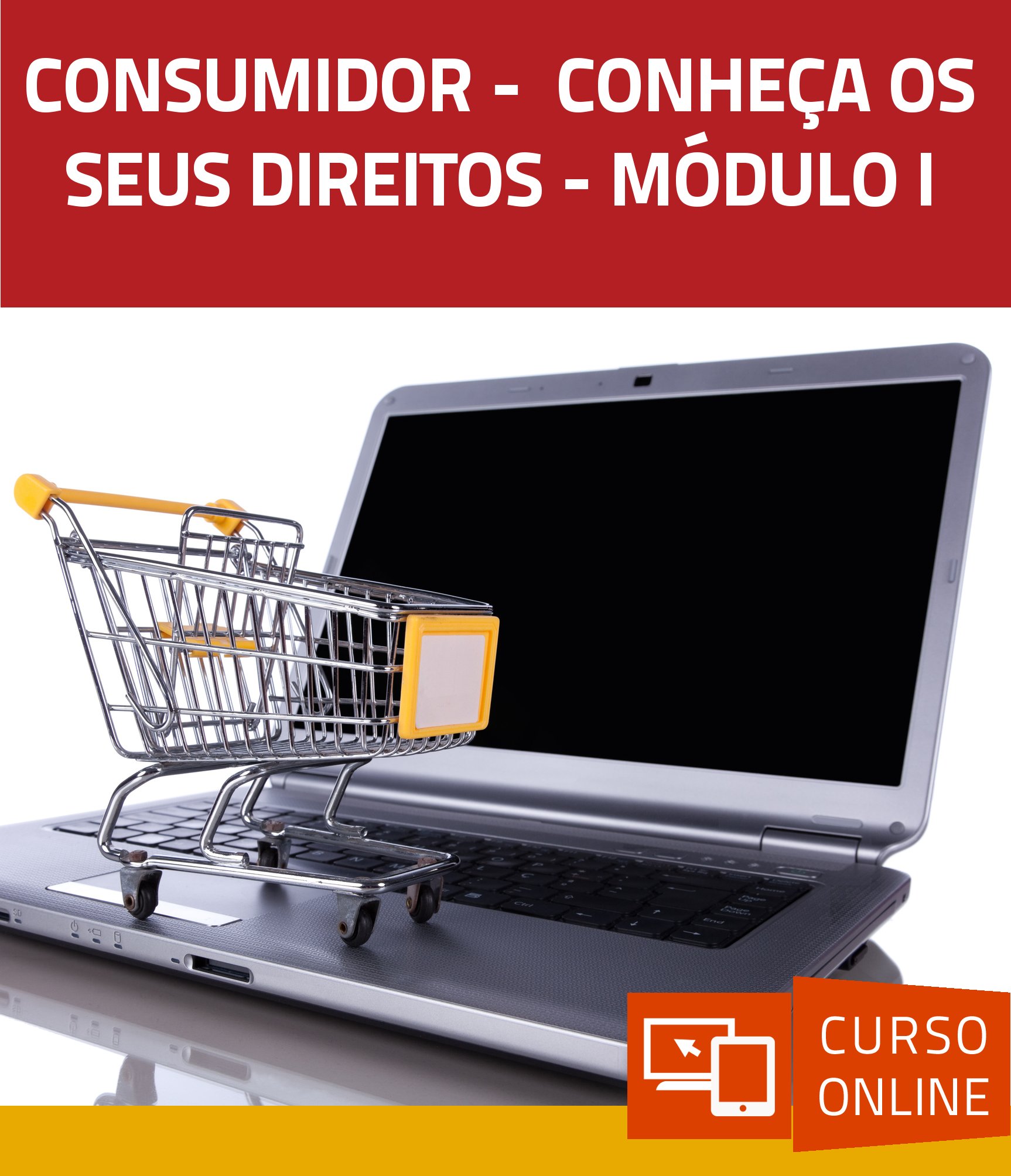 Consumidor -  Conheça os seus Direitos - Módulo I